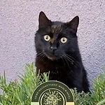 Gemeinschaftshof 3* Mahlwinkel